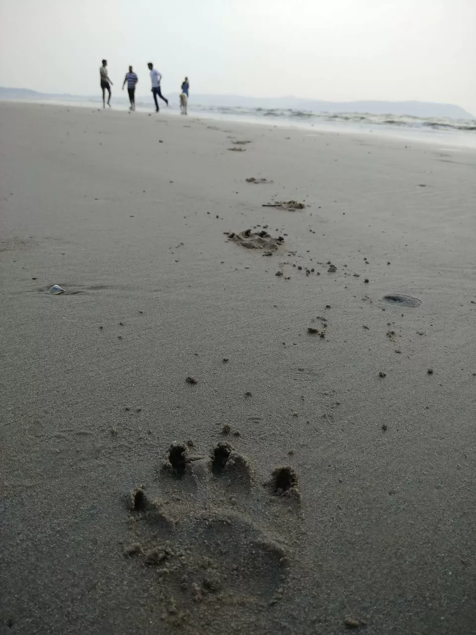 Photo of Aare ware beach & Talshil beach, a perfect destination for a family and friends trip in konkan! by R Madhumati