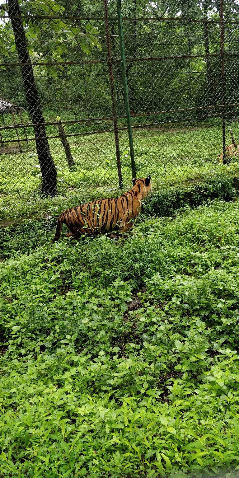 Photo of Sanjay Gandhi National Park,offtrack on one day of weekend in Mumbai! by R Madhumati