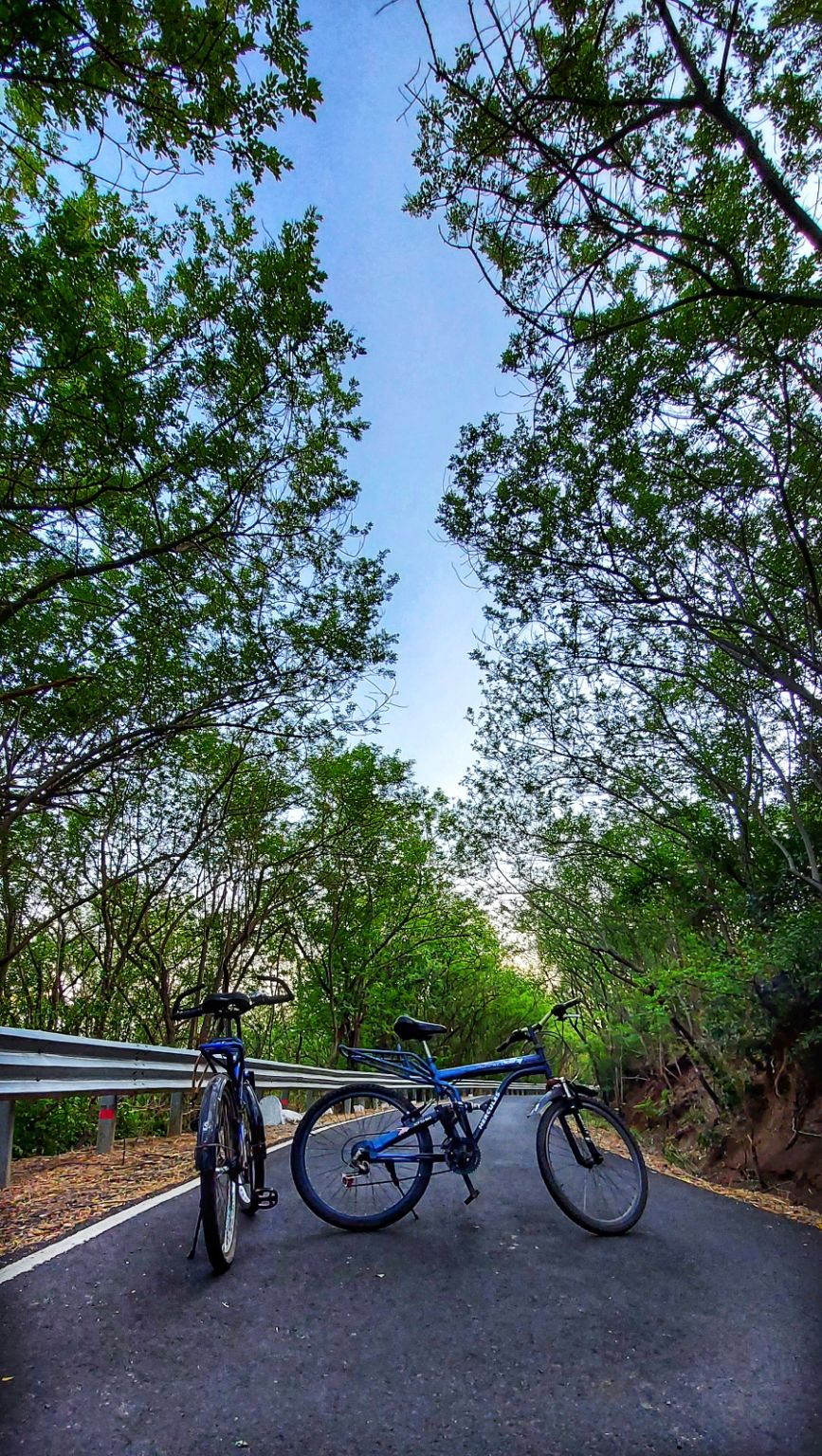Photo of My exploration around my native in COVID lockdown! by R Madhumati