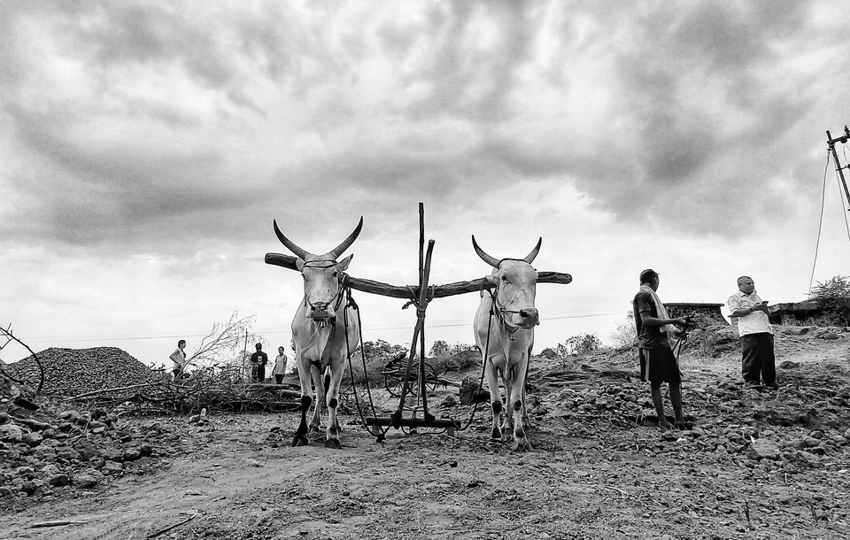 Photo of My exploration around my native in COVID lockdown! by R Madhumati