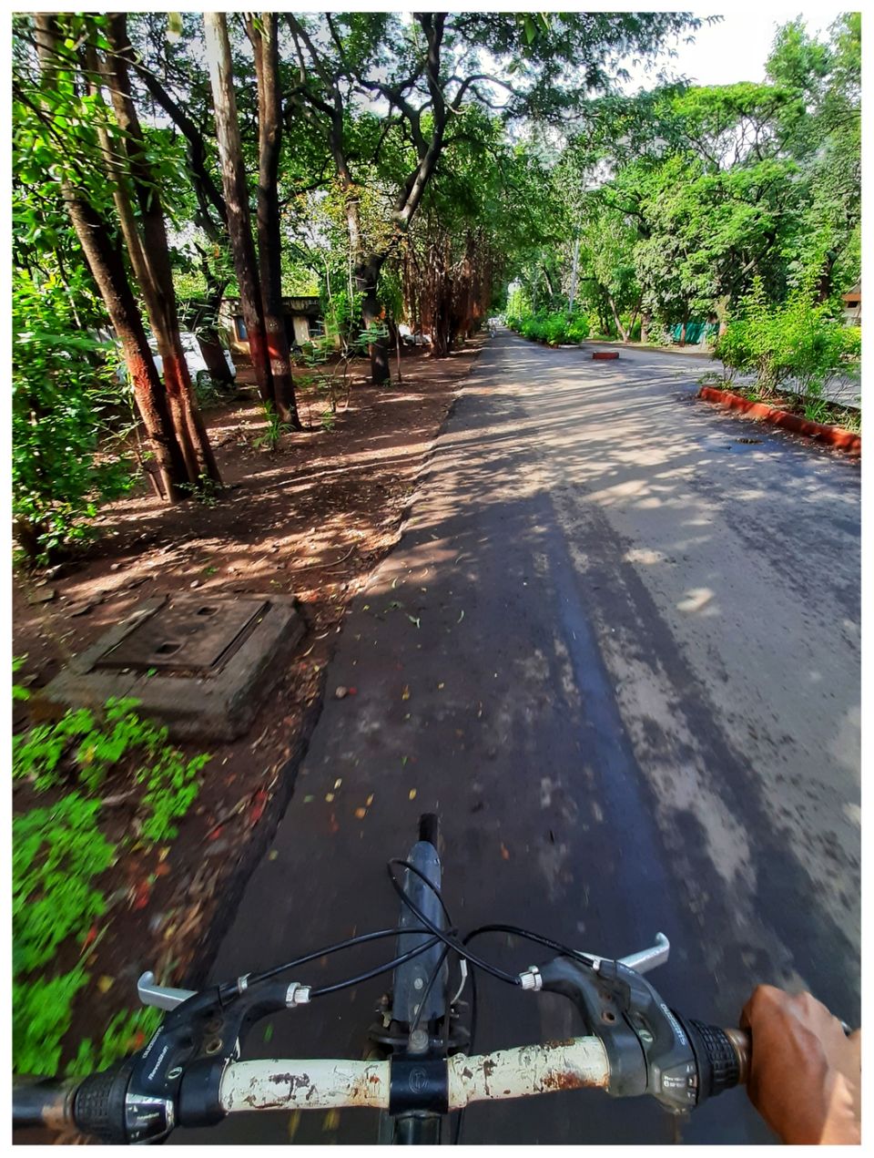 Photo of My exploration around my native in COVID lockdown! by R Madhumati