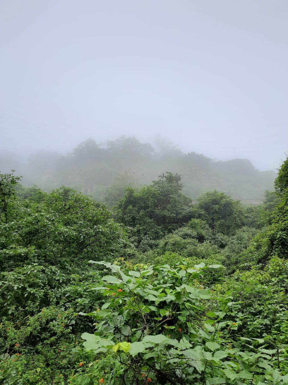 Photo of My exploration around my native in COVID lockdown! by R Madhumati