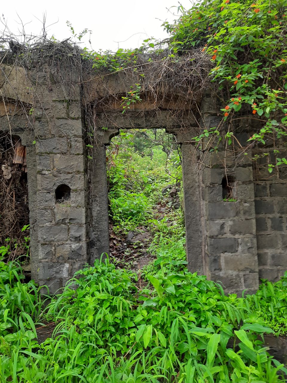 Photo of My exploration around my native in COVID lockdown! by R Madhumati