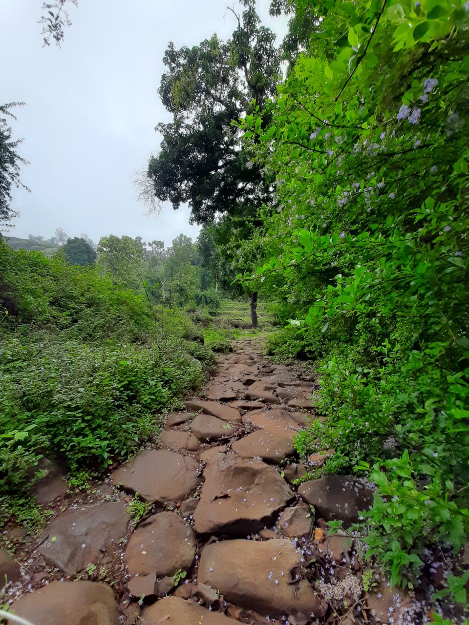 Photo of My exploration around my native in COVID lockdown! by R Madhumati