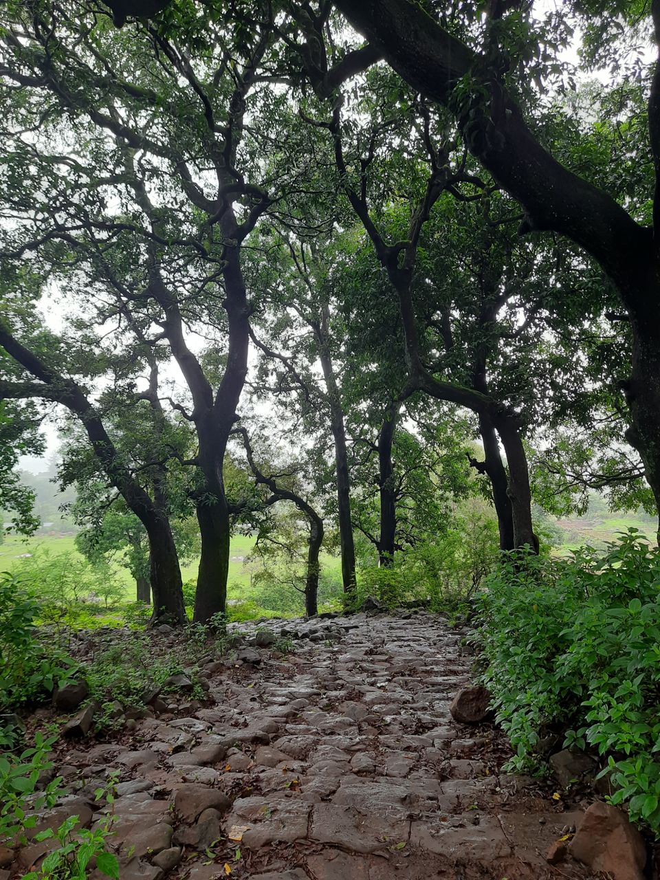 Photo of My exploration around my native in COVID lockdown! by R Madhumati
