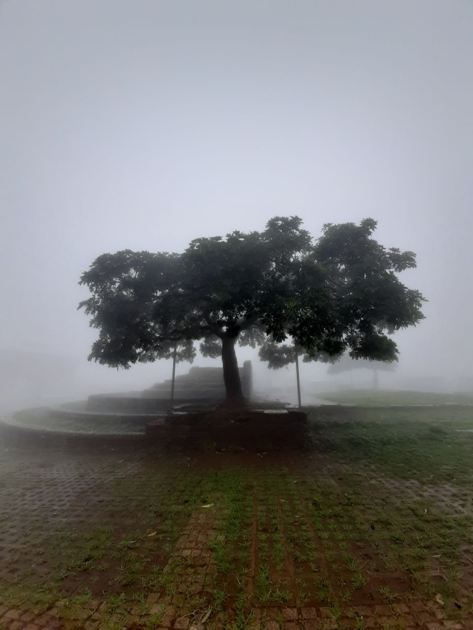 Photo of My exploration around my native in COVID lockdown! by R Madhumati