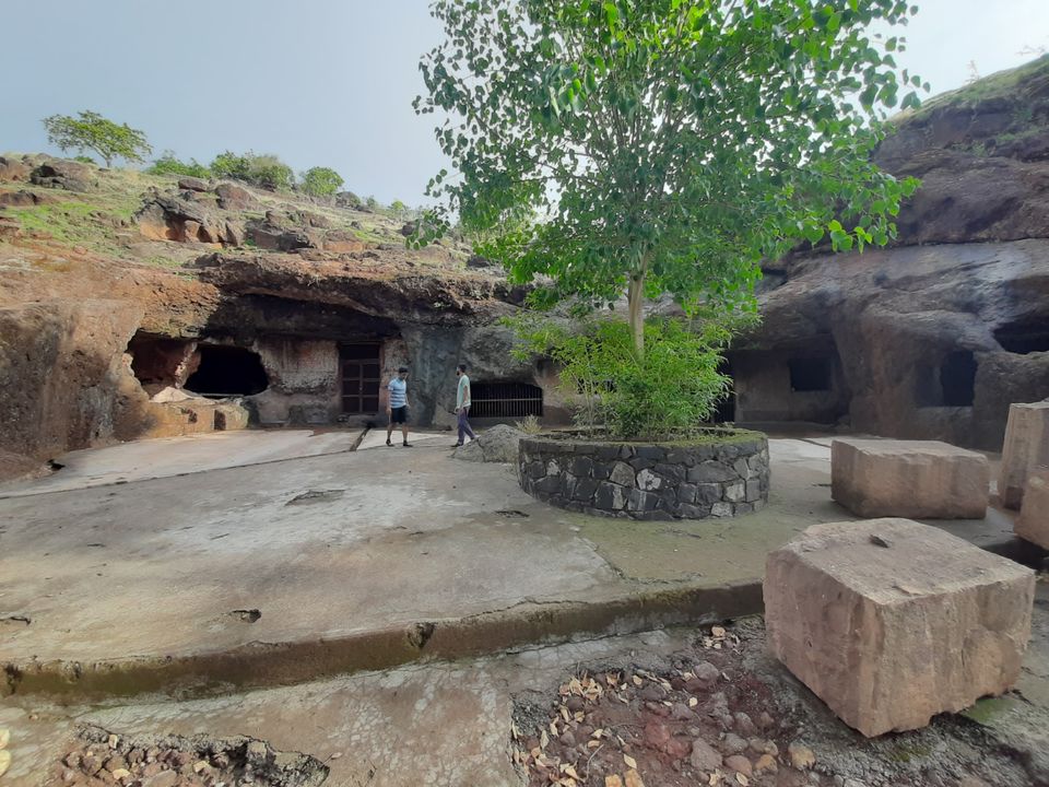 Photo of My exploration around my native in COVID lockdown! by R Madhumati