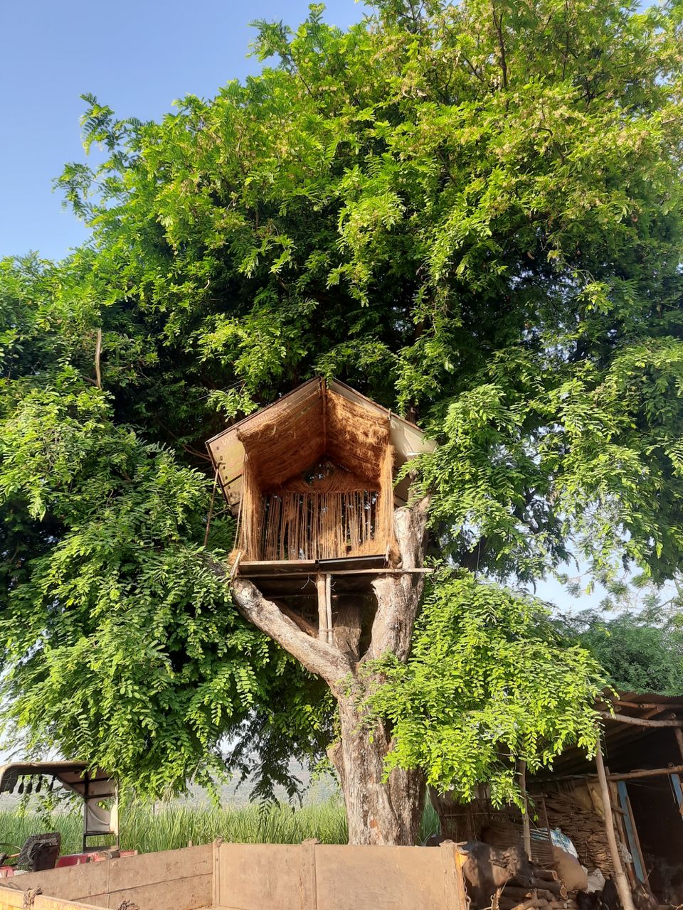 Photo of My exploration around my native in COVID lockdown! by R Madhumati