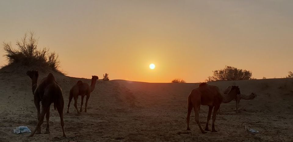 Photo of An Unforgettable Trip to Rajasthan- 9 Days, 6 Destinations, 2 Girls from India 4/8 by Anisha Jain