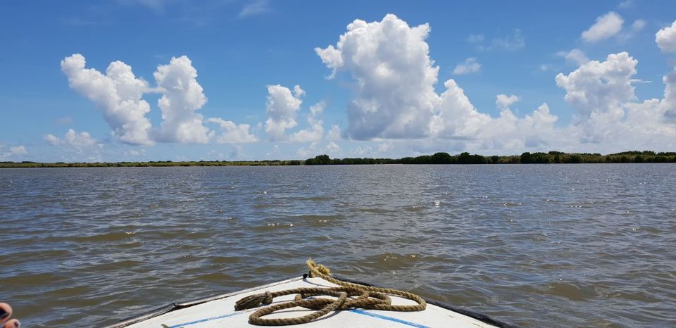 Photo of 3 Days Trip to Pondicherry | India's Only French Colony - by Anisha Jain
