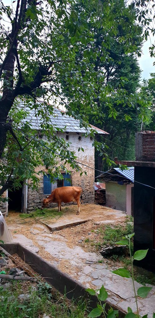 Photo of Bir, Himachal Pradesh, India by Anisha Jain