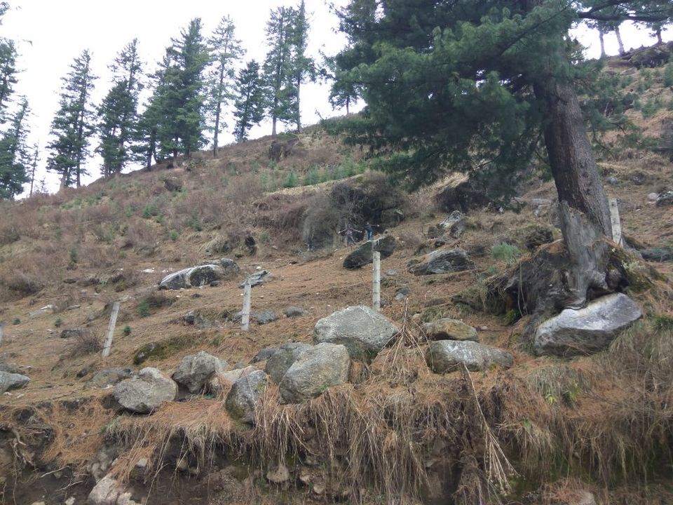 Photo of The must visit place near Kasol: Tosh Village, Himachal Pradesh by Anisha Jain