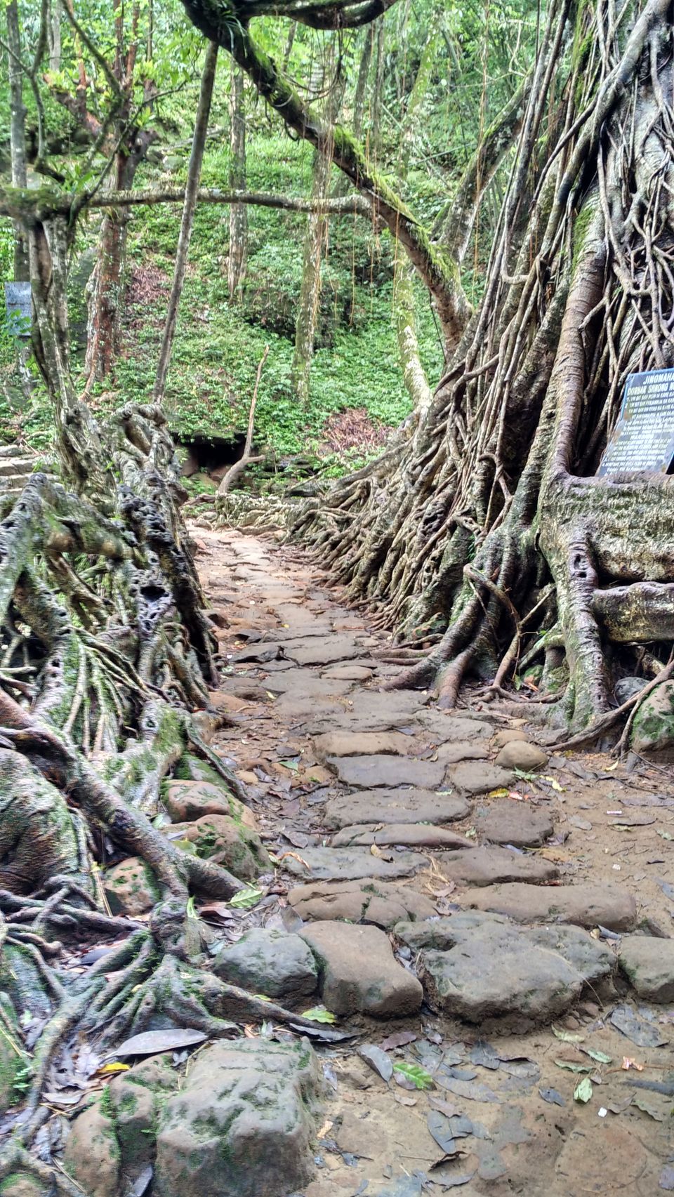 Photo of Meghalaya Photostory 12/13 by Mridul Pareek