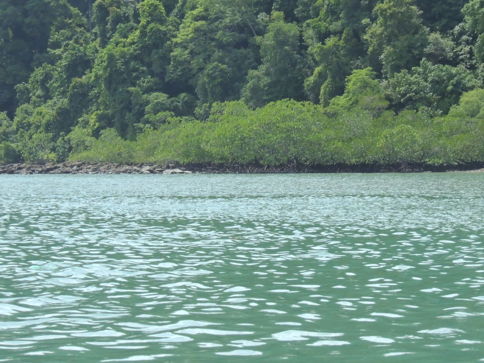 Photo of Singapore and Malaysia Trip : Photostory by Mridul Pareek
