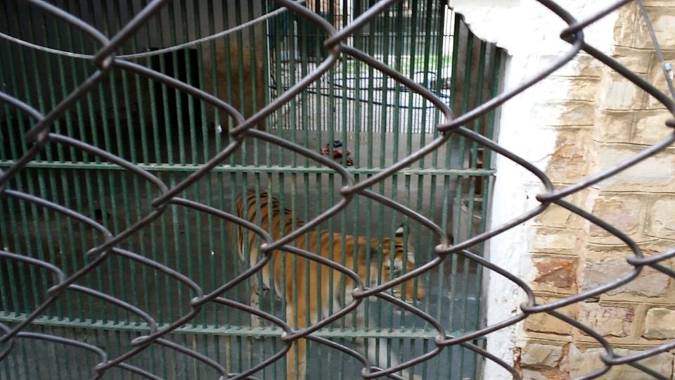 Photo of Animal and bird sanctuary by Udit Gulati (Mysterious Traveller)