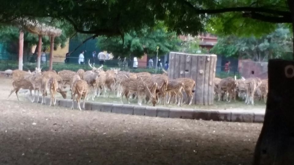 Photo of Animal and bird sanctuary by Udit Gulati (Mysterious Traveller)