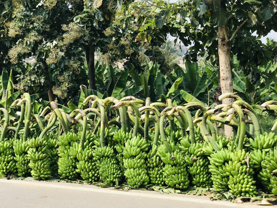 Photo of Sanapur Lake, Sanapur, Karnataka, India by Vacay Couple