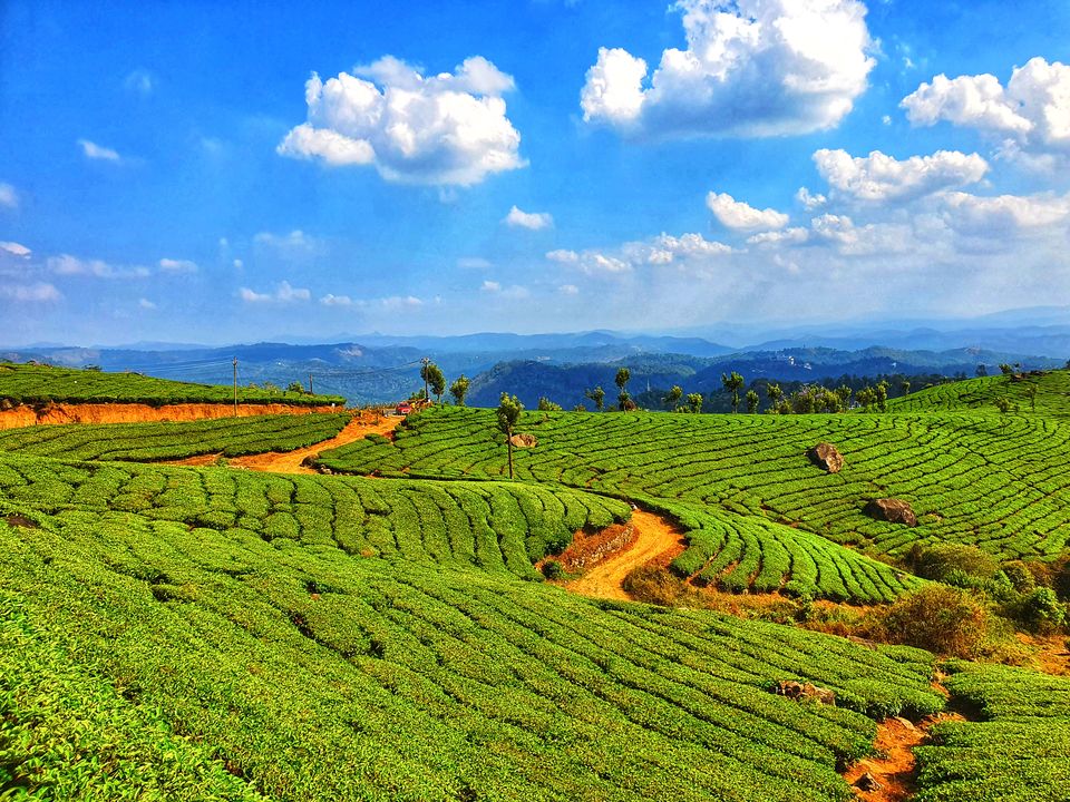 Photo of Kolukkumalai Tea Plantation, Moolakadai, Munnar, Kerala, India by Vacay Couple