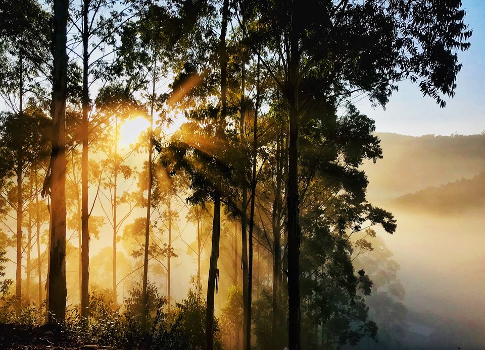 Photo of Mattupetty Dam, Munnar - Top Station Highway, Mattupetty, Kerala, India by Vacay Couple