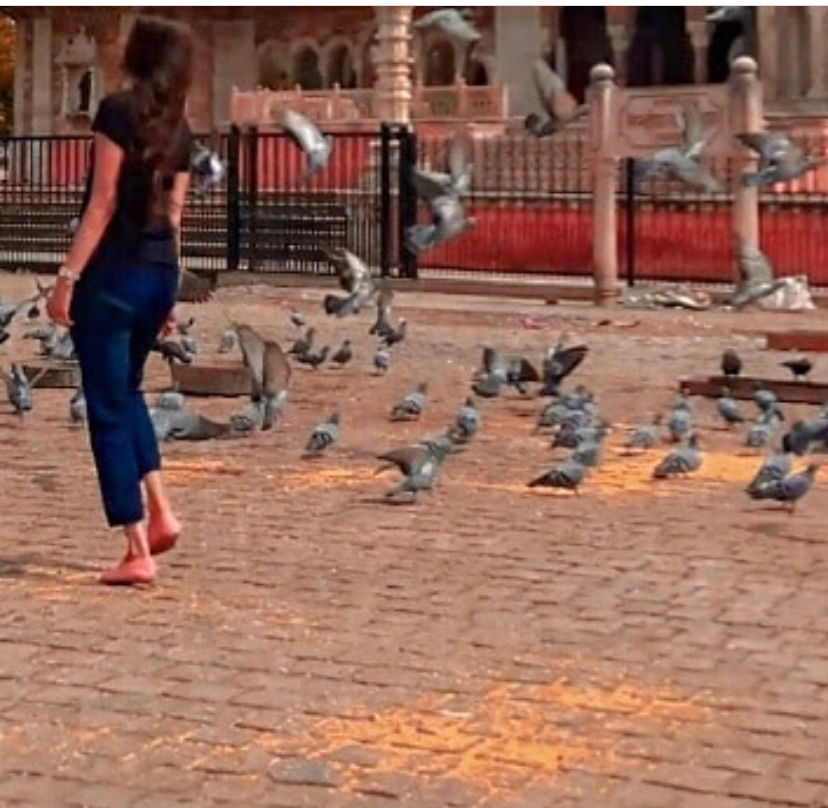 Photo of jaipurism : exploring all hidden &MUST SEE spots of jaipur in 4 days! by Simran Singh
