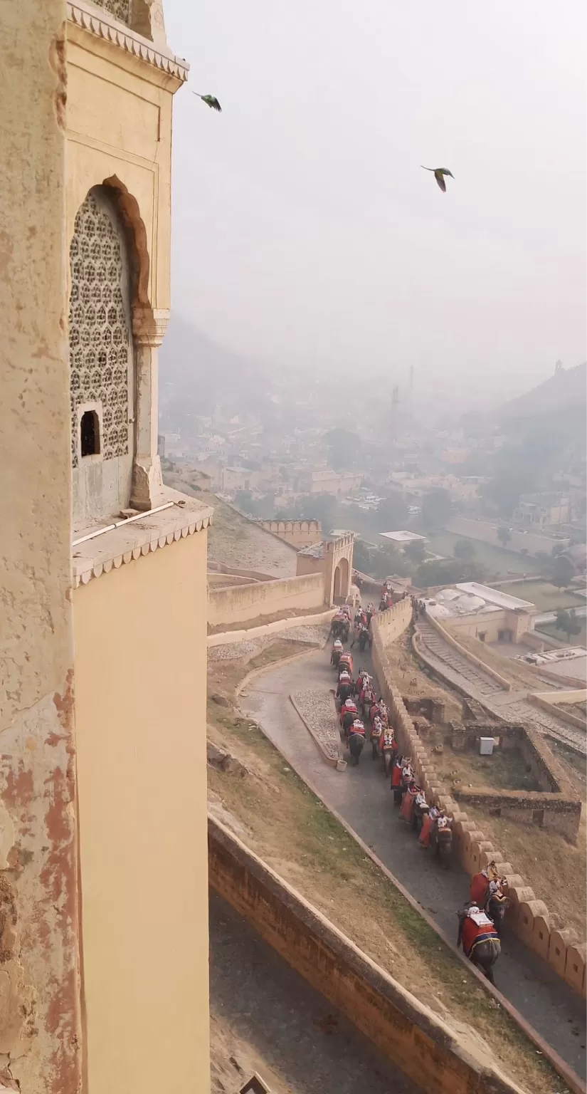 Photo of Jaigarh Fort, Devisinghpura, Amer, Rajasthan by Simran Singh