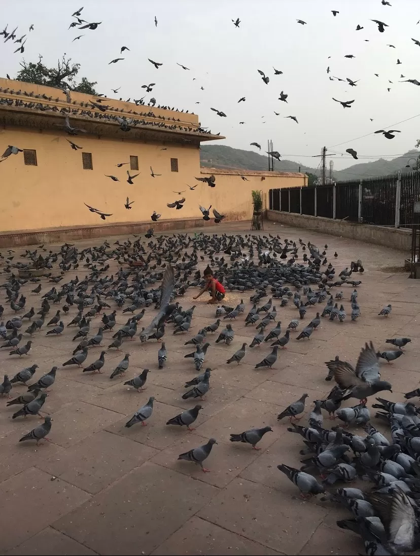 Photo of Nahargarh Fort, Krishna Nagar, Brahampuri, Jaipur, Rajasthan, India by Simran Singh
