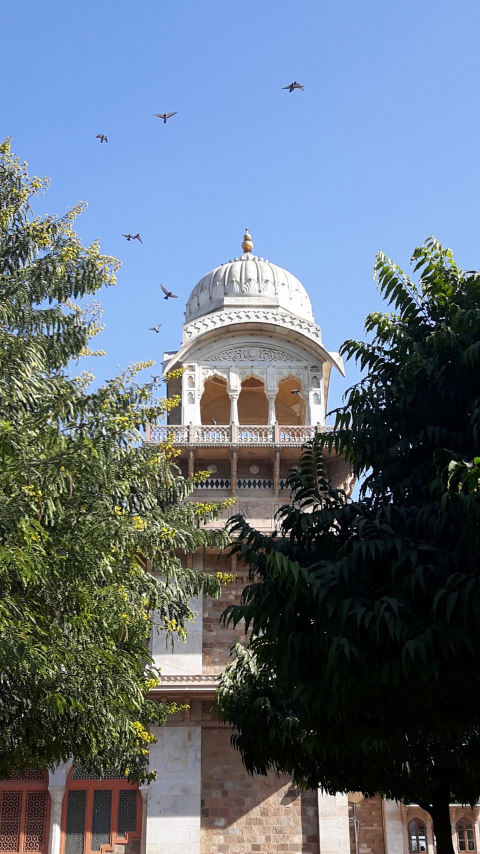 Photo of Jaipur: My solo trip - Part II by Life11 by Somali K Chakrabarti