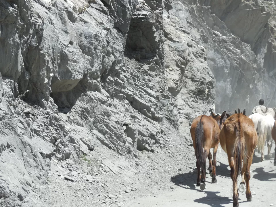 Photo of Zoji La Pass, Forest Block by Ranit Bandyopadhyay