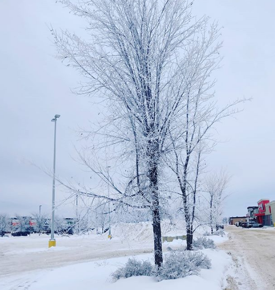 Photo of My first time in Canada- Sharing some useful insight! by Arjun Rohilla