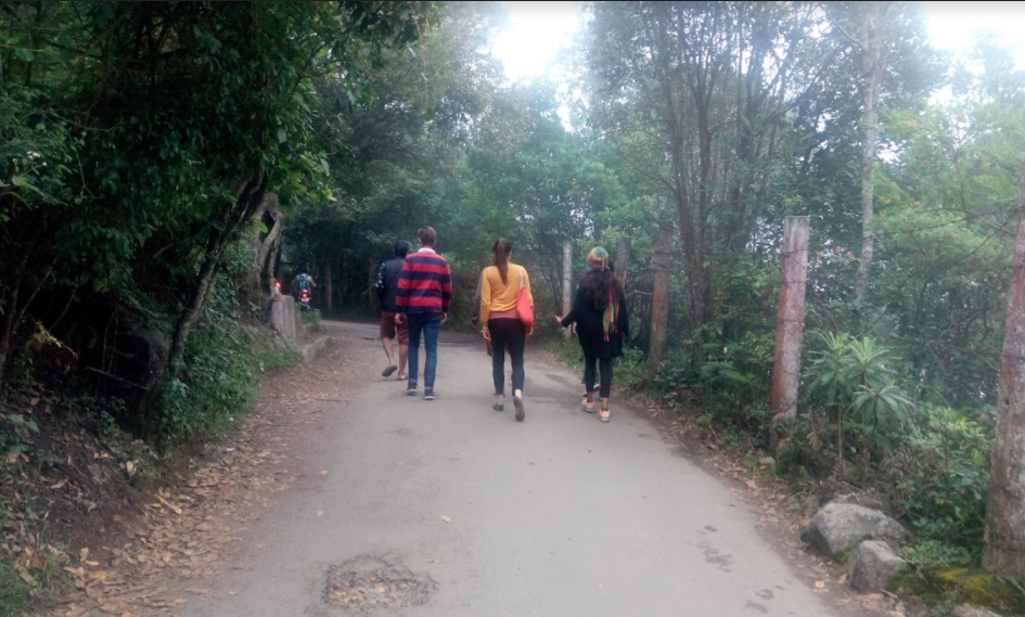 Photo of VATTAKANAL - The Little Sister of Kodai by Malvika Mayur