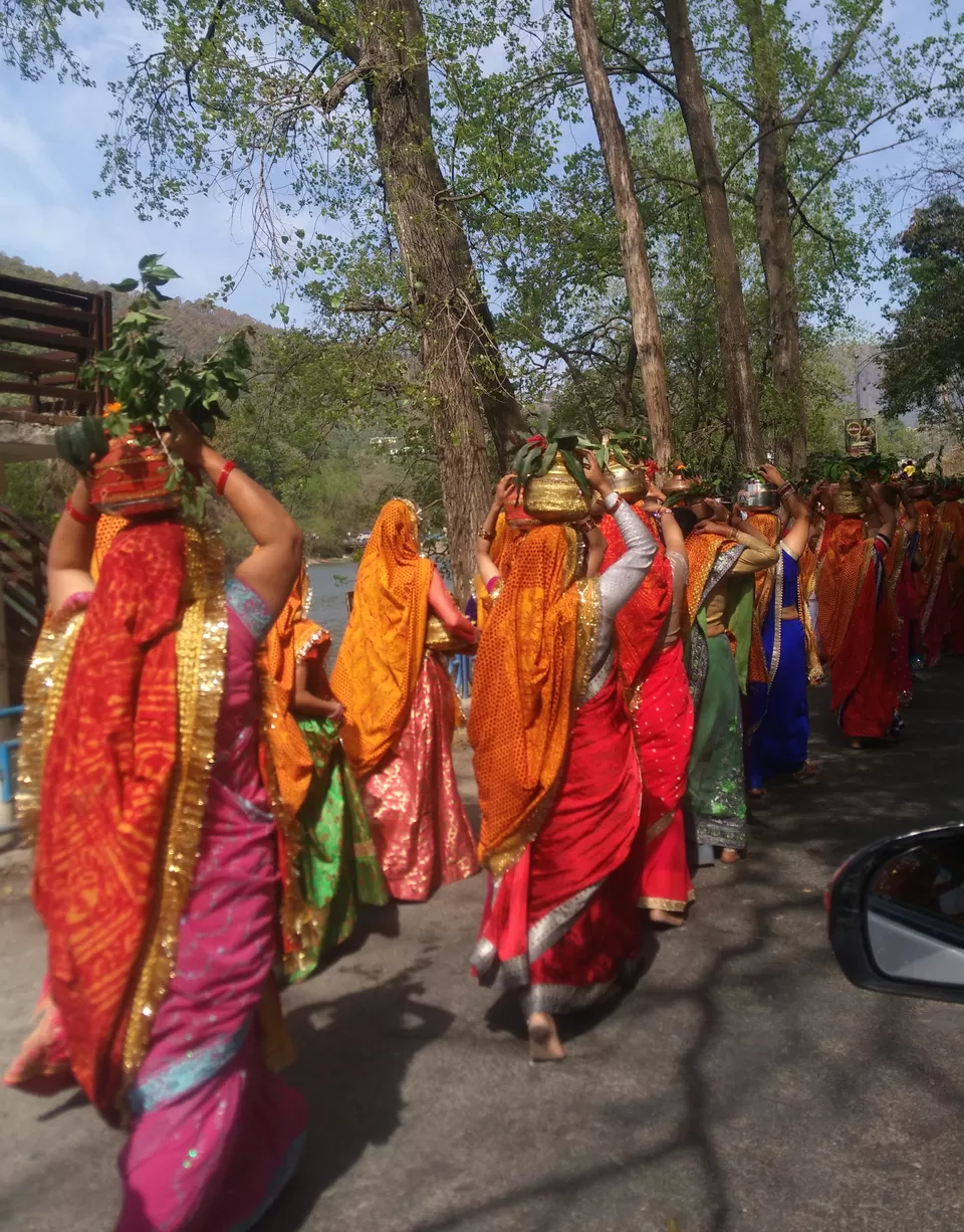 Photo of Binsar, Uttarakhand, India by Ridhíma Prasad
