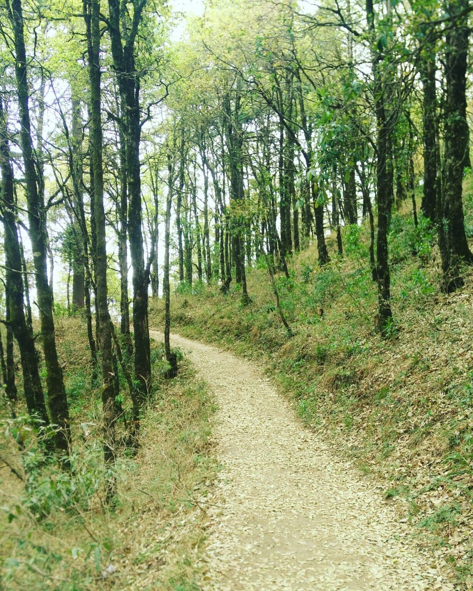 Photo of Off the Beaten Path in Uttarakhand by Ridhíma Prasad