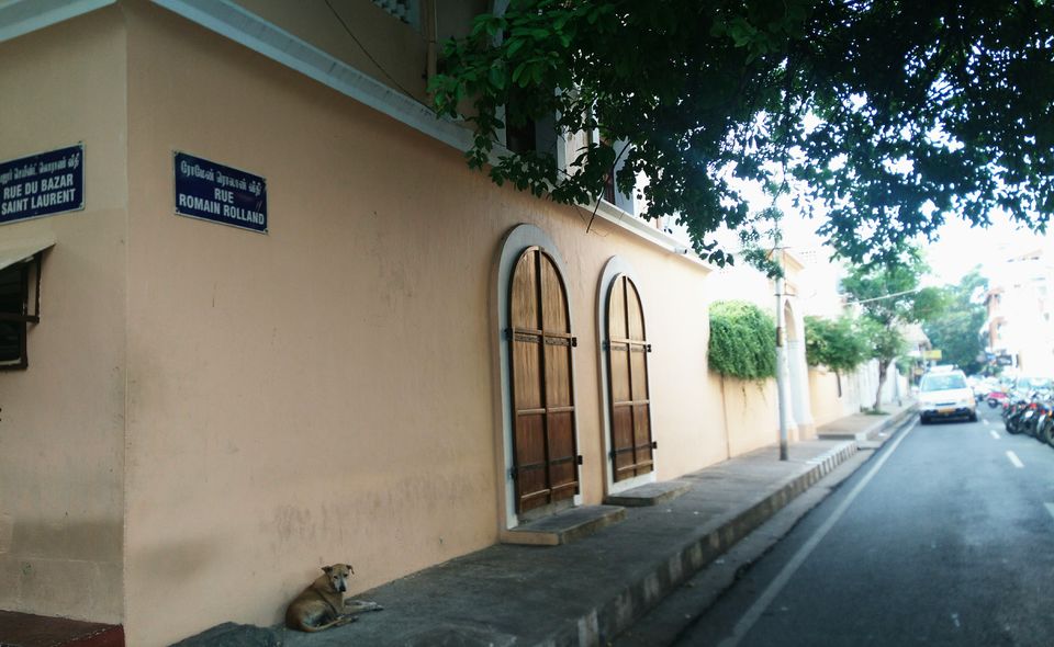 Photo of Pondicherry for the Artistic Traveller by Ridhíma Prasad