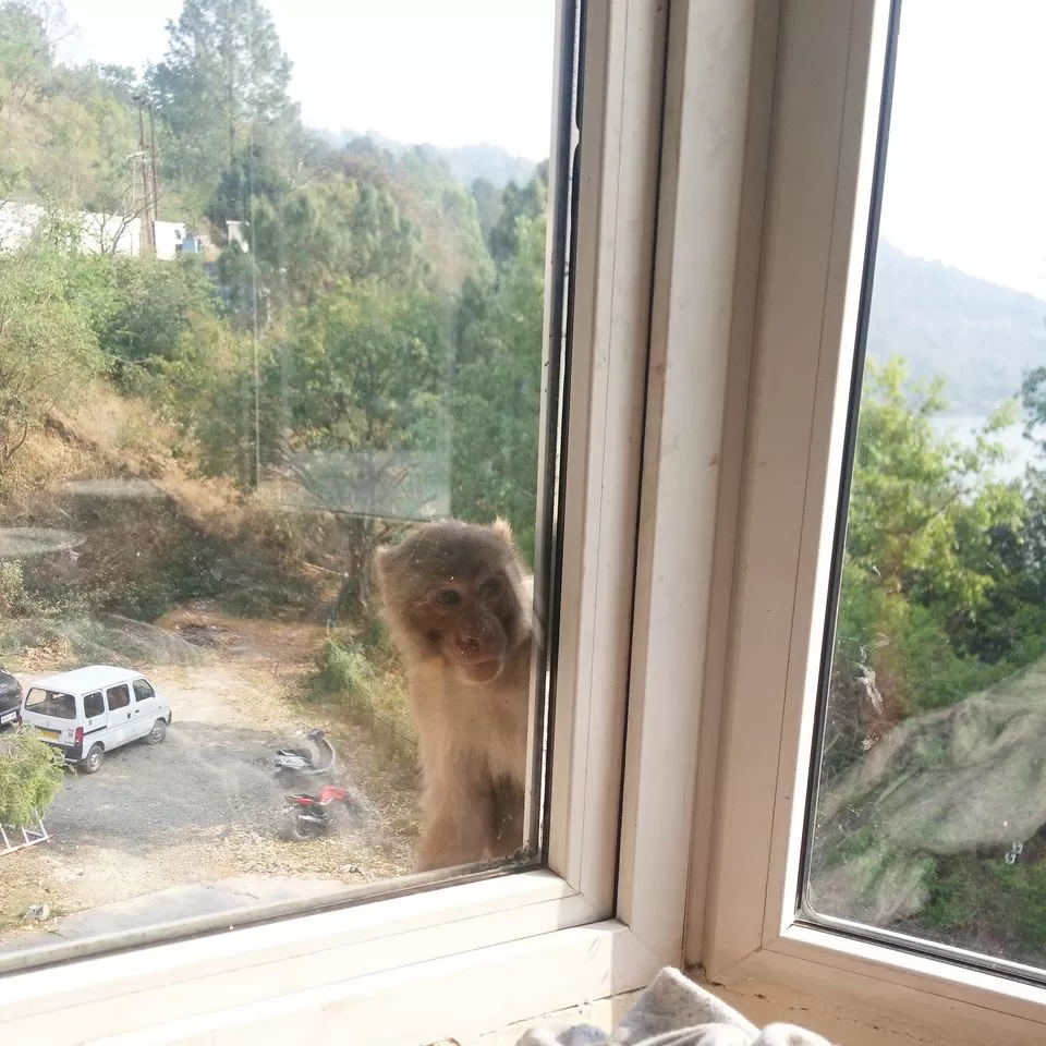 Photo of Club Mahindra Naukuchiatal Uttarakhand, Naukluchiatal, Uttarakhand, India by Ridhíma Prasad