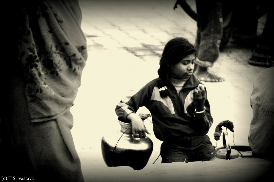 Photo of Mahakumbh 2013 26/76 by Trishant Srivastava