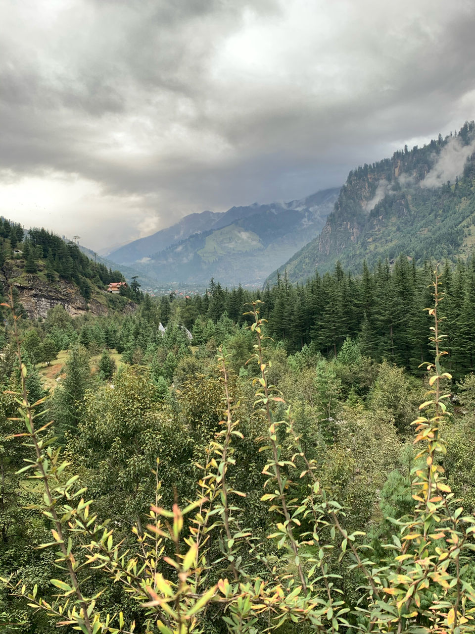 Photo of Old Manali, Manali, Himachal Pradesh, India by Arvind Radhakrishnan