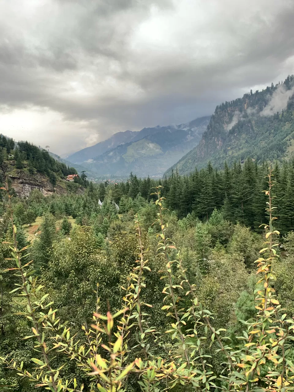 Photo of Old Manali, Manali, Himachal Pradesh, India by Arvind Radhakrishnan
