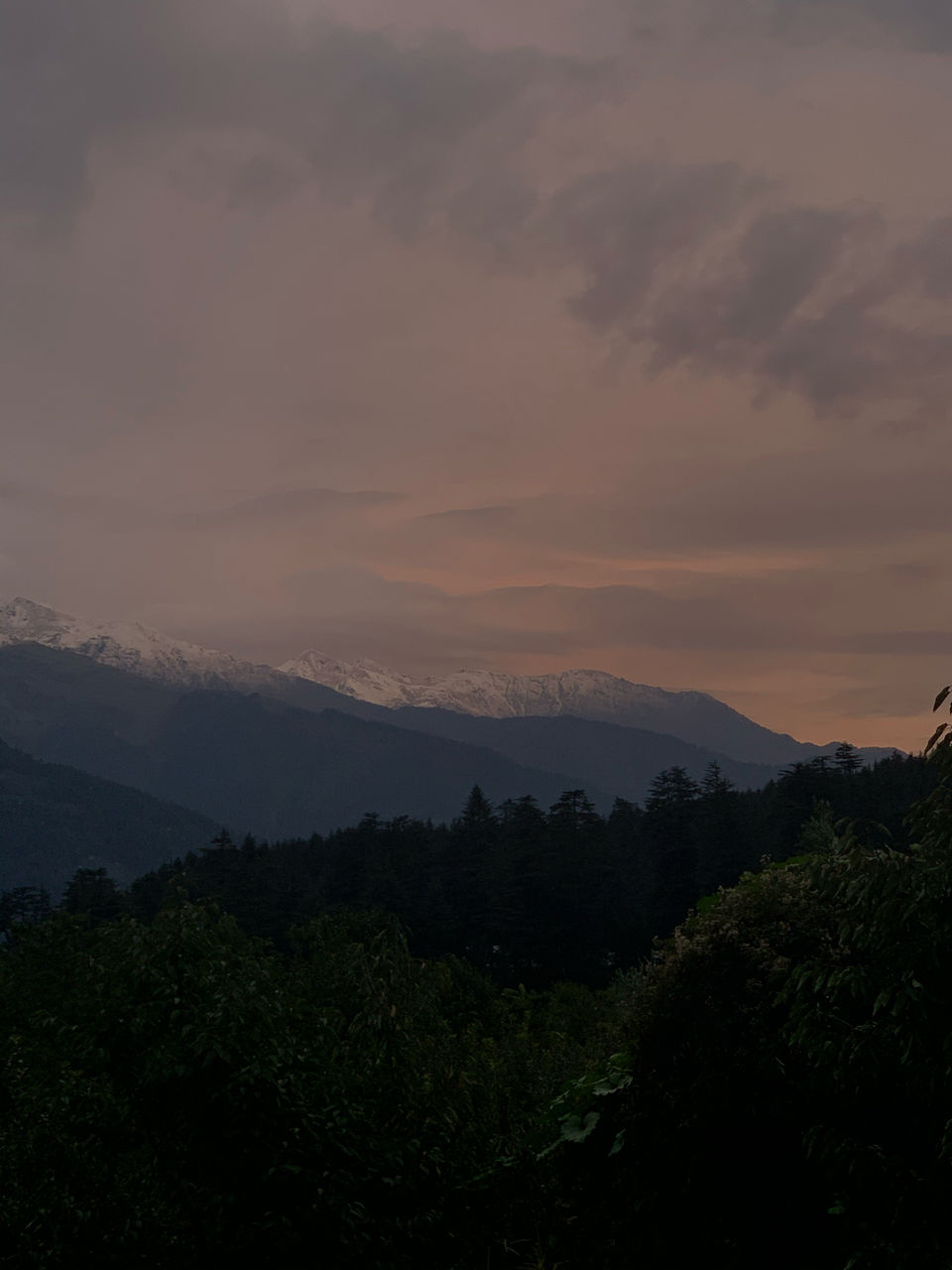 Photo of Old Manali, Manali, Himachal Pradesh, India by Arvind Radhakrishnan