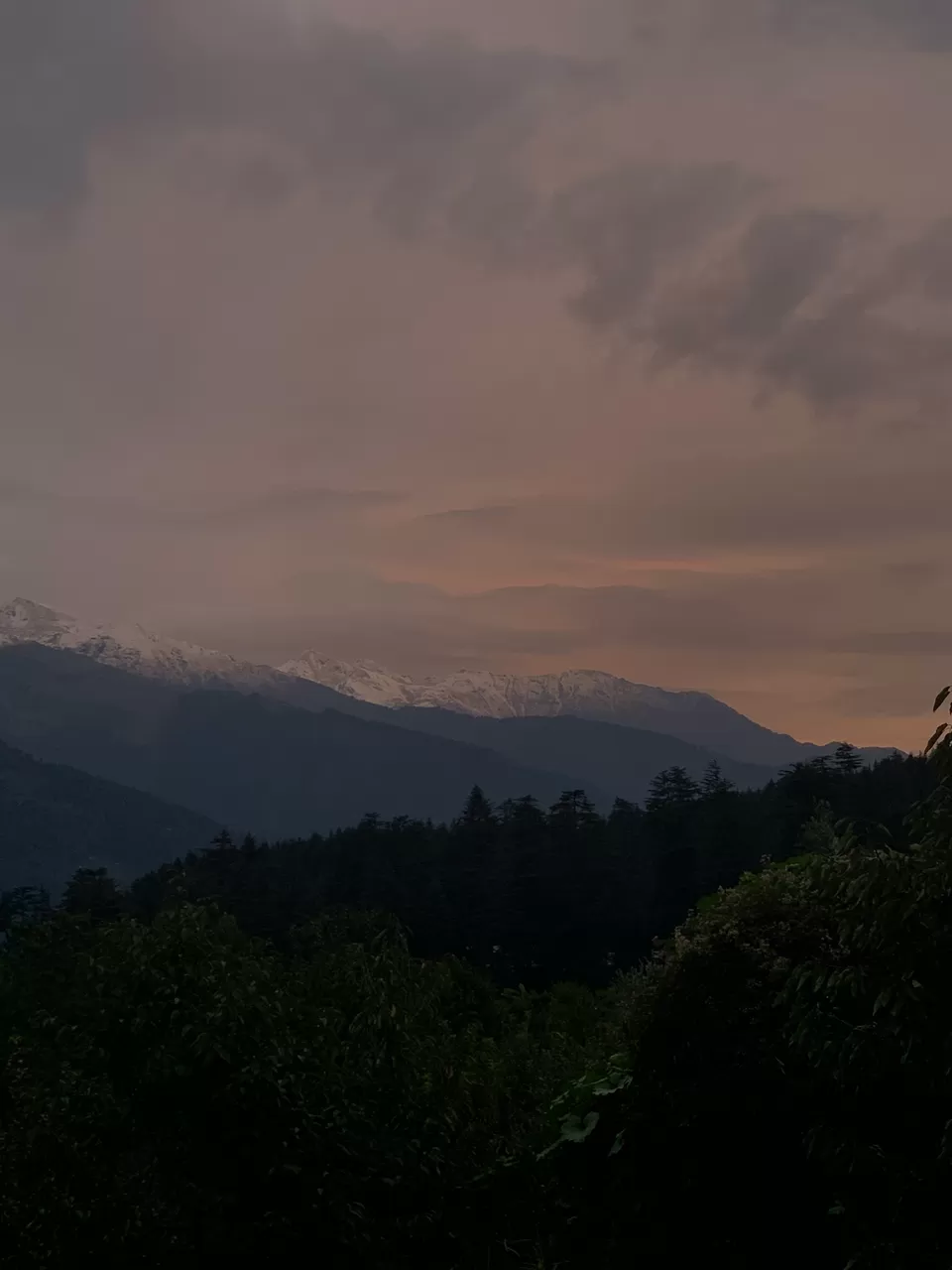 Photo of Old Manali, Manali, Himachal Pradesh, India by Arvind Radhakrishnan