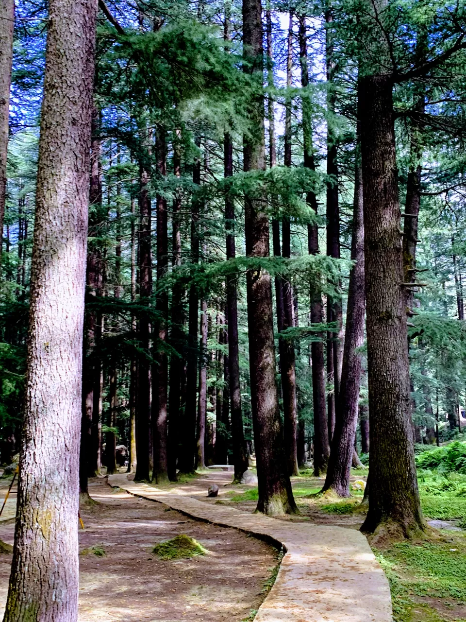 Photo of Old Manali, Manali, Himachal Pradesh, India by Arvind Radhakrishnan