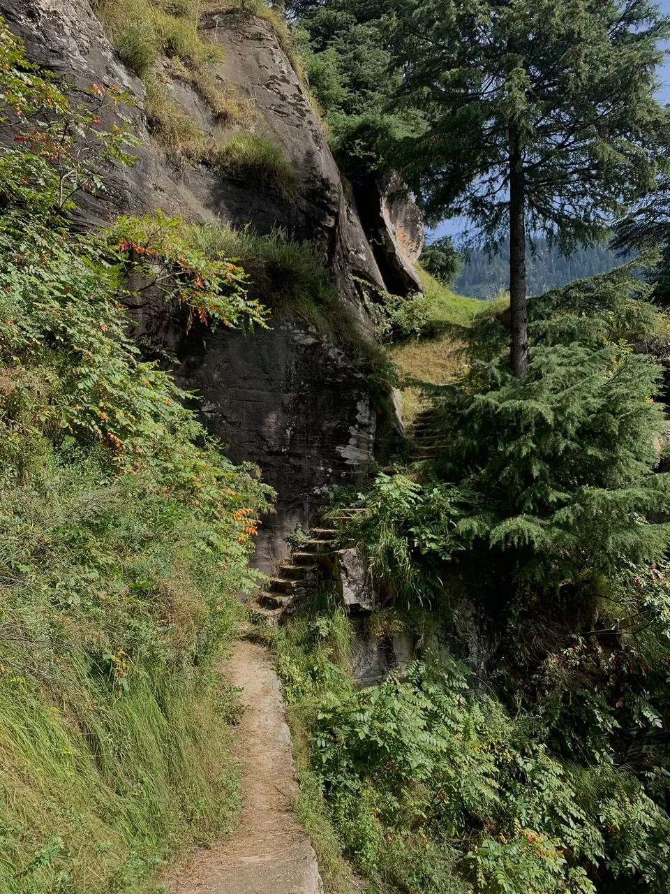 Photo of Old Manali, Manali, Himachal Pradesh, India by Arvind Radhakrishnan
