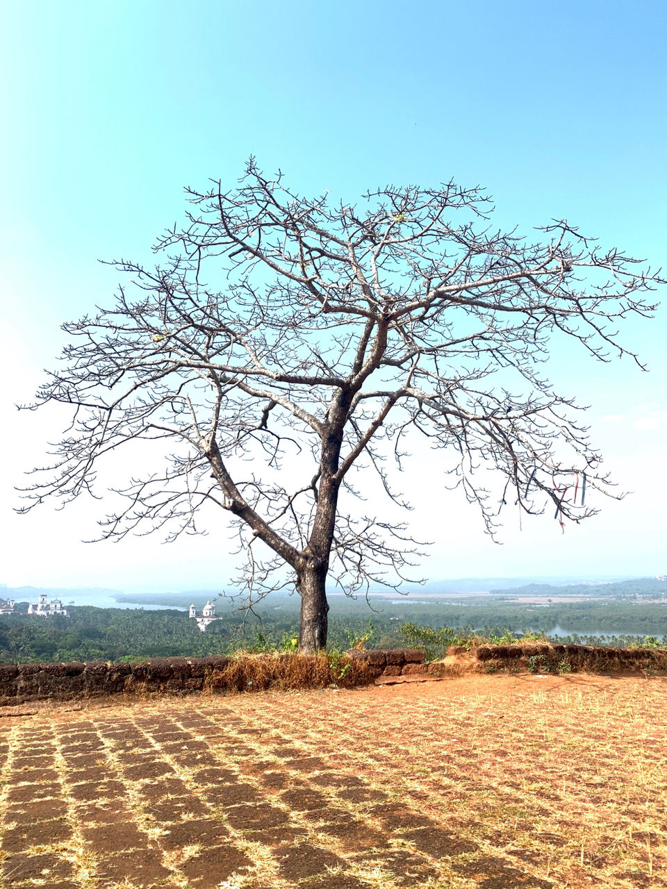 Photo of Go Goa by Arvind Radhakrishnan