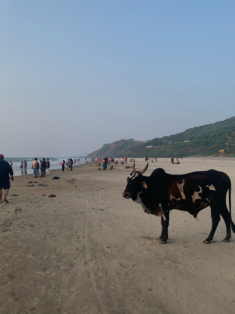 Photo of Go Goa by Arvind Radhakrishnan