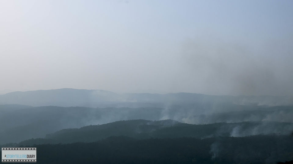 Photo of Dandeli : A Jungle visit 2/16 by yogesh pilankar