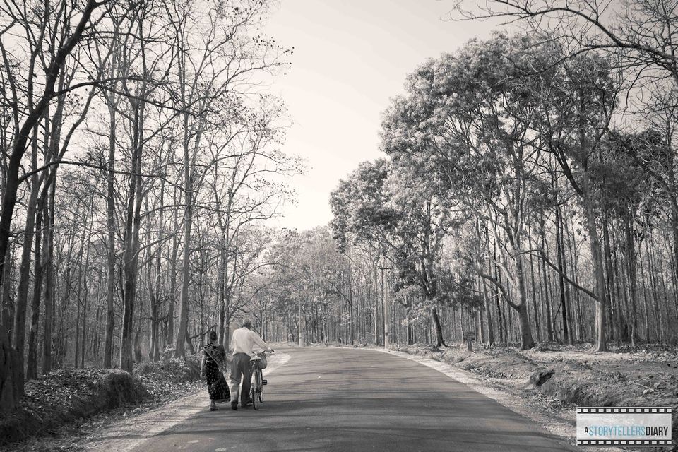 Photo of Dandeli : A Jungle visit 7/16 by yogesh pilankar