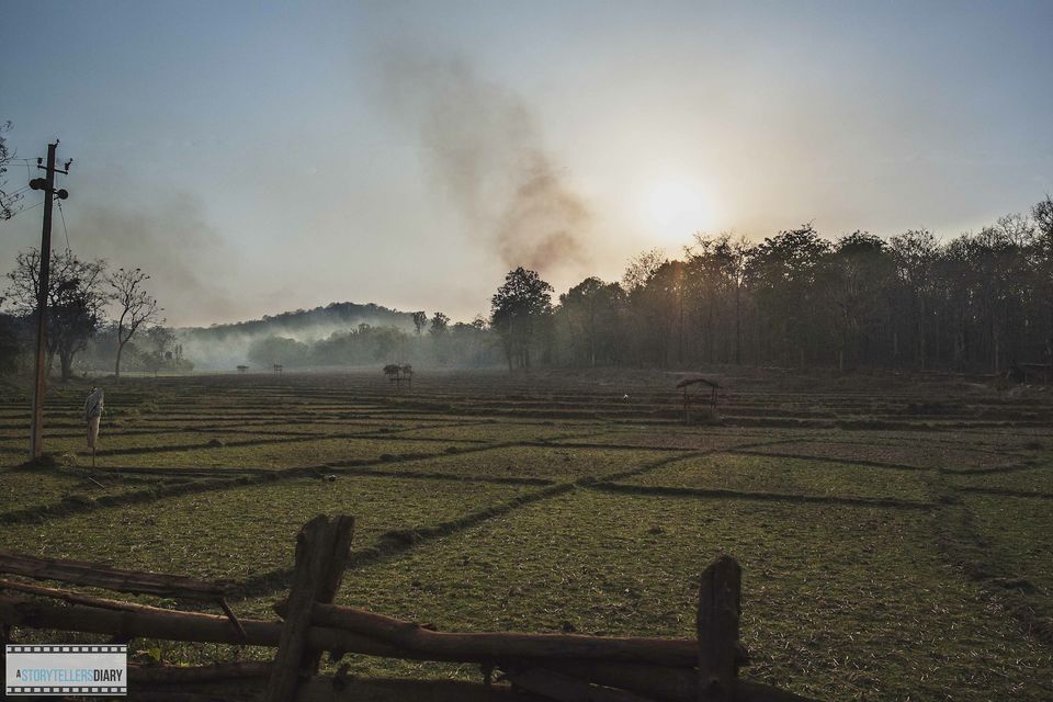 Photo of Dandeli : A Jungle visit 10/16 by yogesh pilankar