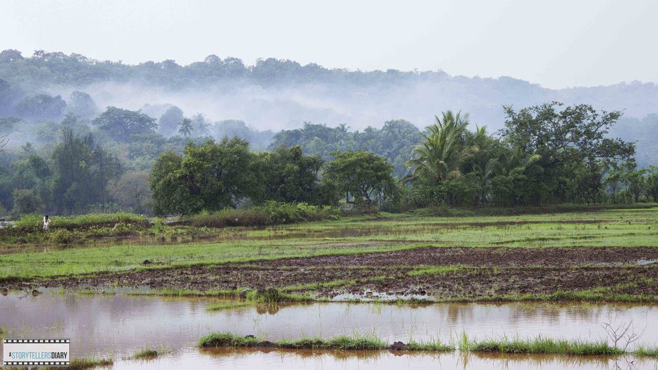 Photo of The Konkan Diary - A Photologue 1/21 by yogesh pilankar