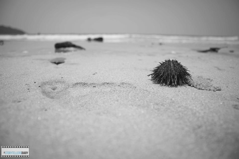 Photo of The Konkan Diary - A Photologue 10/21 by yogesh pilankar