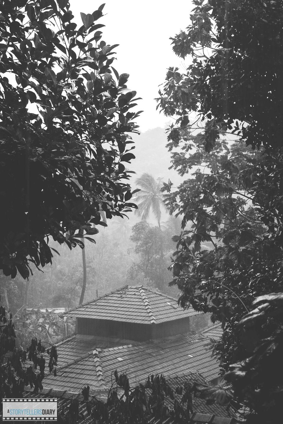 Photo of The Konkan Diary - A Photologue 11/21 by yogesh pilankar