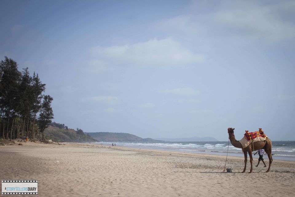 Photo of The Konkan Diary - A Photologue 13/21 by yogesh pilankar